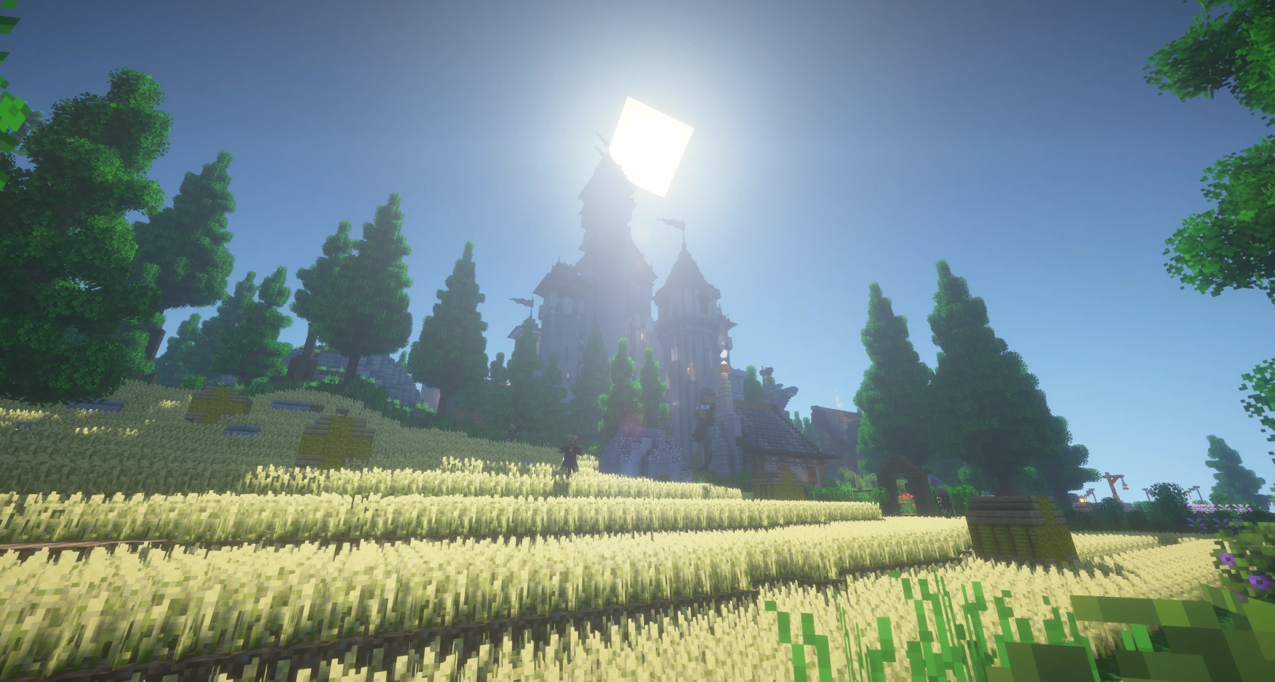 rwpusk5gy6mt4jdpdeb8